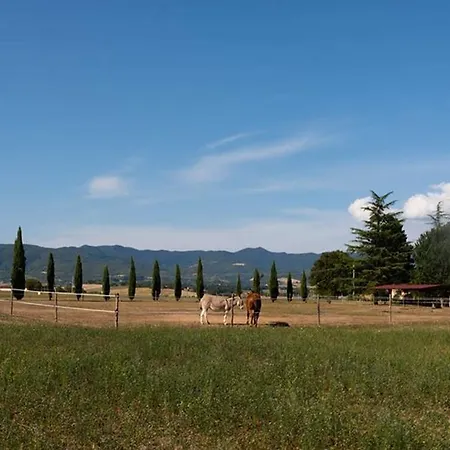 Village Mugello San Piero a Sieve